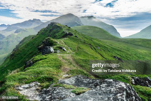 green mountain range summer panorama, lofoten islands, norway - fjord stockfoto's en -beelden