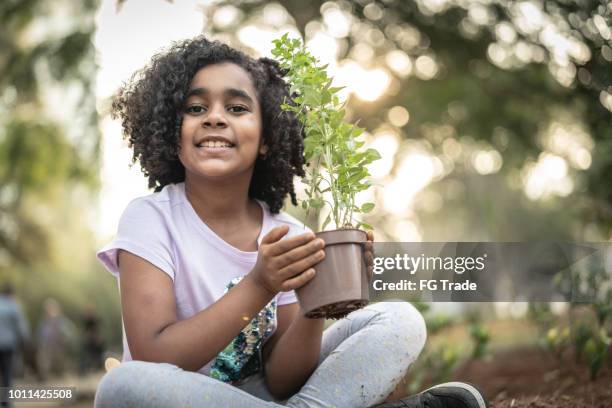 pouco linda garota plantando árvore jovem na terra preta como salvar o conceito de mundo - planting - fotografias e filmes do acervo