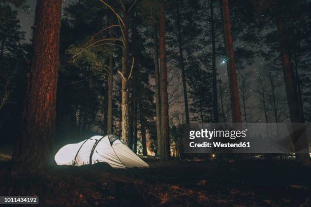 sweden, sodermanland, tent in forest under starry sky at night - forest sweden stock pictures, royalty-free photos & images