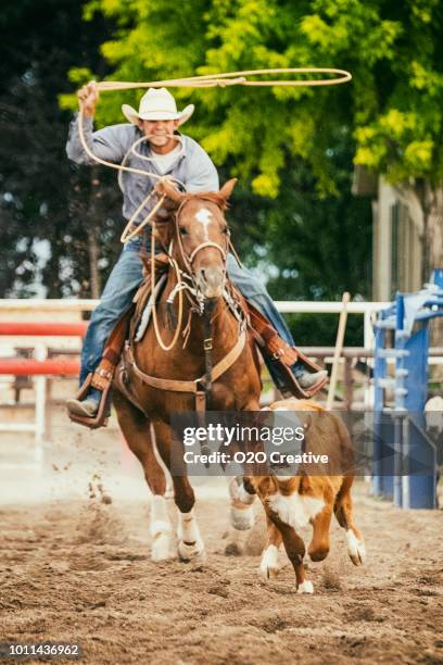 Calf Roper Rigging Calf Roping Photos and Premium High Res Pictures - Getty Images