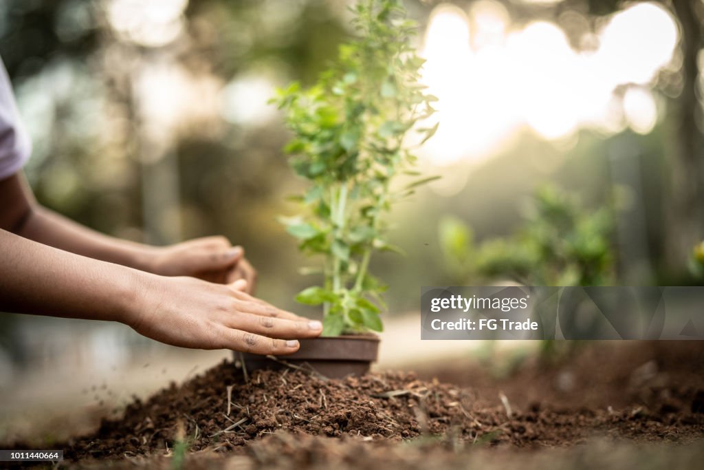 Menina Cute plantando árvore jovem na terra preta como salvar o conceito de mundo