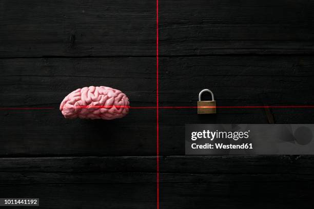 Brain Lock Mem 358 Brain Lock Stock Photos, High-Res Pictures, and Images - Getty Images