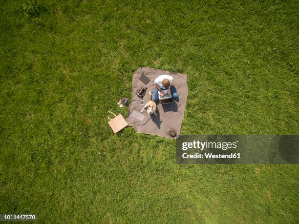 bird's eye view of woman sitting on blanket on meadow with dog using laptop - prairie dog photos et images de collection