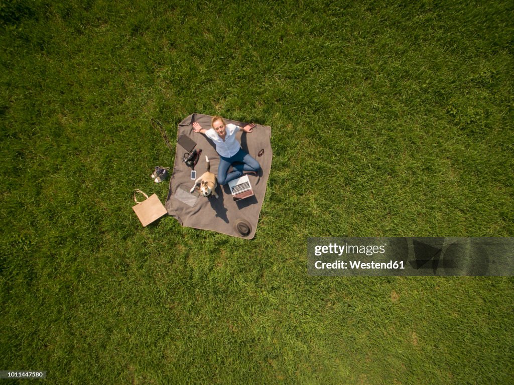 Bird's eye view of woman sitting on blanket on meadow with dog and laptop