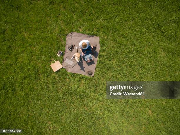 bird's eye view of woman sitting on blanket on meadow with dog using laptop and tablet - dog overhead view stock pictures, royalty-free photos & images