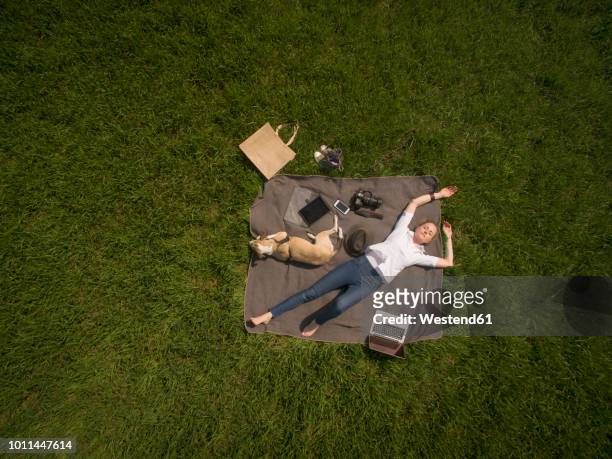 bird's eye view of woman lying on blanket on meadow with dog and utensils - dog overhead view stock pictures, royalty-free photos & images
