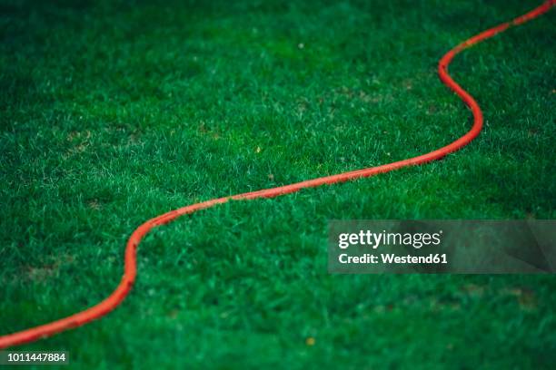 red garden hose on green lawn - hosepipe stock pictures, royalty-free photos & images