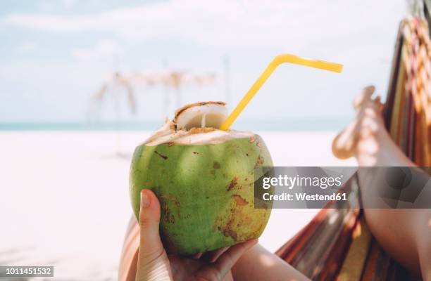 thailand, koh lanta, woman's hand holding fresh coconut - coconut beach stock-fotos und bilder