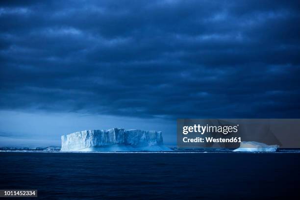 antarctic, antarctic peninsula, iceberg and - península antártica fotografías e imágenes de stock