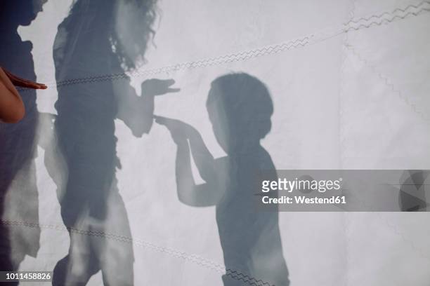 family doing a shadow play behind sail - persona irriconoscibile foto e immagini stock