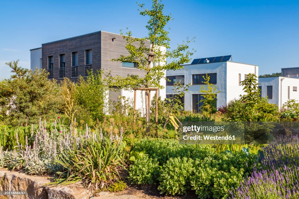 Germany, Esslingen-Zell, development area with passive houses