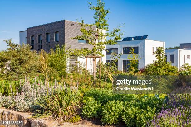 germany, esslingen-zell, development area with passive houses - eco house stock pictures, royalty-free photos & images