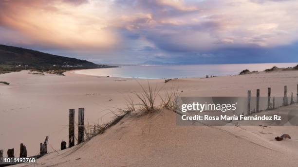 sand dunes at valdevaqueros beach on sunset in tarifa, cadiz, andalucia, southern spain, europe - tariffa stock pictures, royalty-free photos & images