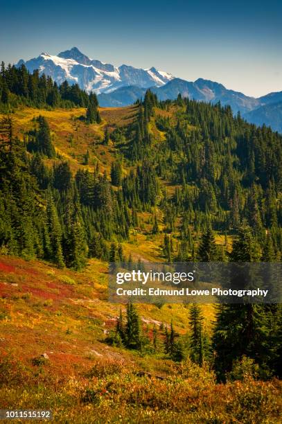 view of mt. shuksan from the excelsior ridge trail. - mt shuksan imagens e fotografias de stock