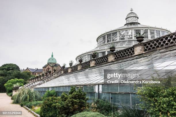 botanical garden in the center of copenhagen, denmark. - copenhagen museum stock pictures, royalty-free photos & images