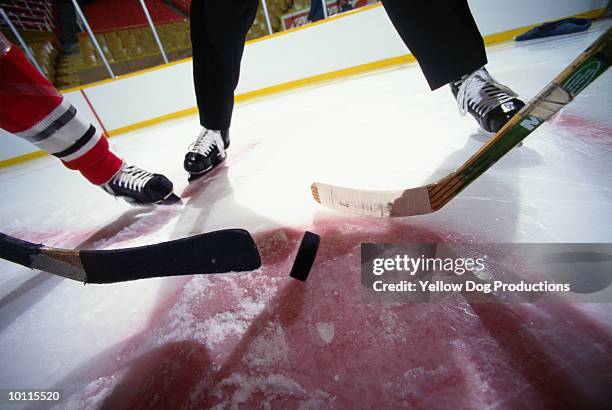 puck dropped for hockey face off - ice hockey close up stock pictures, royalty-free photos & images