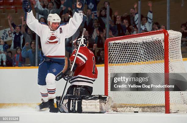 hockey player celebrates a goal - hockey rink stock pictures, royalty-free photos & images