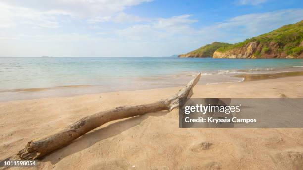 beautiful views of the forested minas beach, guanacaste - costa rica - driftwood foto e immagini stock