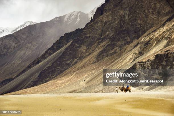 hunder sand dunes of nubra valley in leh ladakh, jammu and kashmir, india - jammu en kasjmir stockfoto's en -beelden
