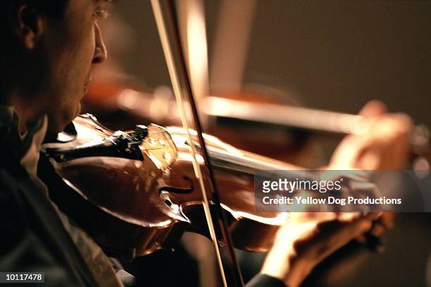 orchestra violinist - strumento musicale foto e immagini stock