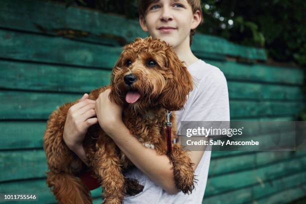 teenager holding a puppy dog - boy with dog stock pictures, royalty-free photos & images