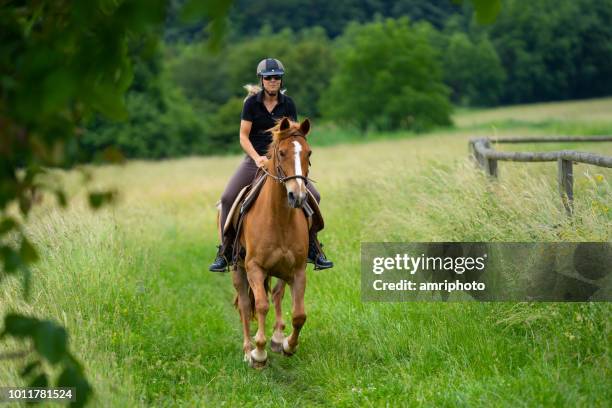woman riding horse in grassland - equestrian helmet stock pictures, royalty-free photos & images
