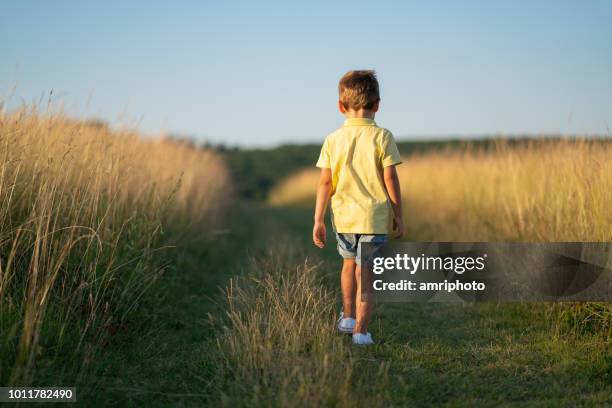 背面を表示夏の高い乾いた草の間を歩いて 1 つの小さな男の子 - 孤児 ストックフォトと画像