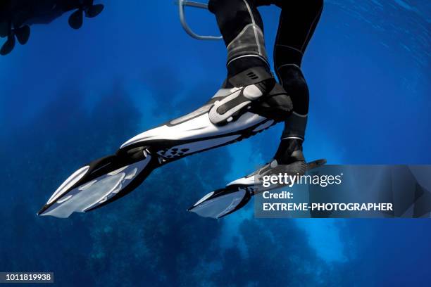 scuba diving - deep ocean predator stock pictures, royalty-free photos & images