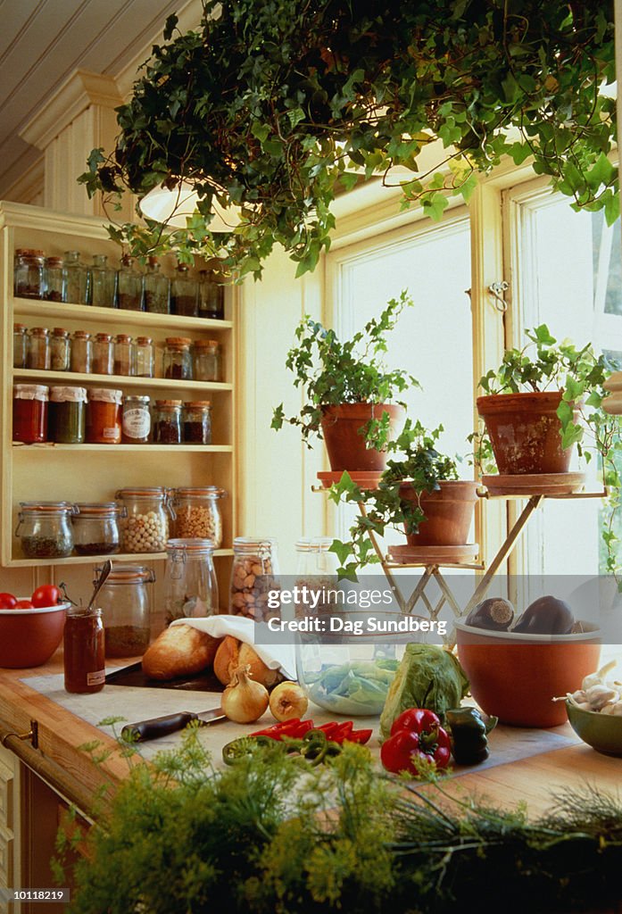 SWEDISH KITCHEN