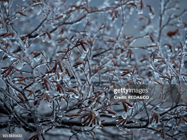 Water that freezes Vallagarina Trentino Italy Europe.