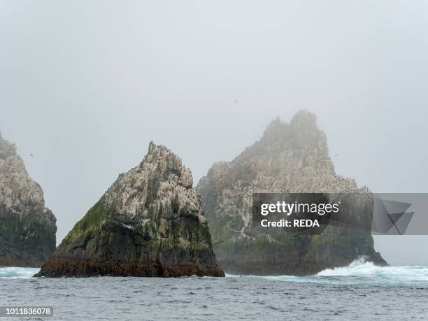 Shag Rovcks 32 Shag Rocks South Georgia Stock Photos, High-Res Pictures, and Images ...
