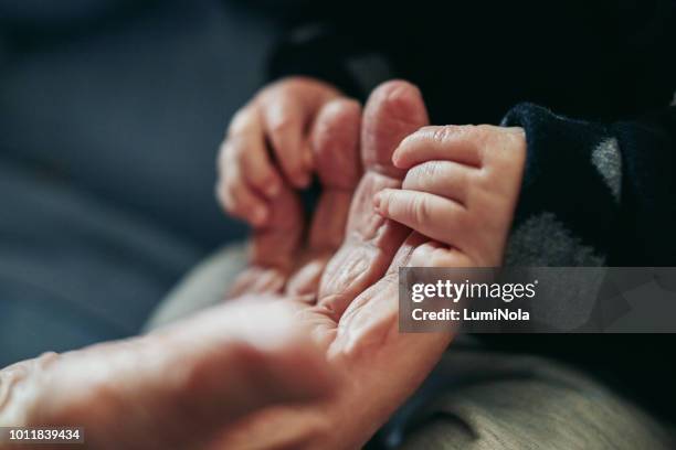 our lives have become a lot more precious together - newborn hand stock pictures, royalty-free photos & images