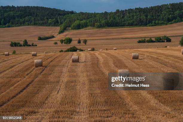 fields with bales of straw after harvest - thüringen stock-fotos und bilder
