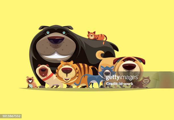 cats and dogs gathering - group of animals stock illustrations