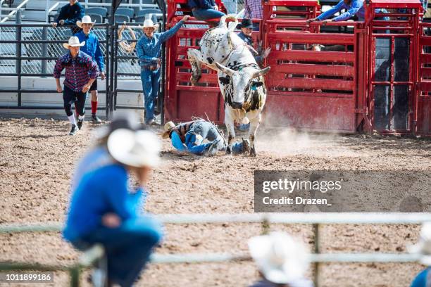 Angry Bull Riding 1,536 Angry Horse Stock Photos, High-Res Pictures, and Images - Getty ...