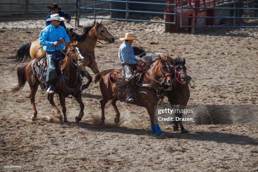 Stamp Rodeo Stampede Rodeo In America High-Res Stock Photo - Getty Images