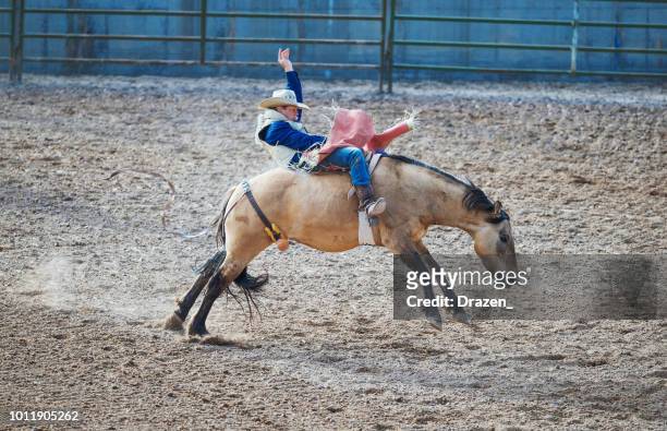 stampede rodeo in america - skilled cowboy riding wild horse - debandar imagens e fotografias de stock