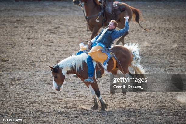 estampida rodeo en américa - lenguaje del cuerpo de vaquero mientras que monta caballo salvaje - estampida fotografías e imágenes de stock