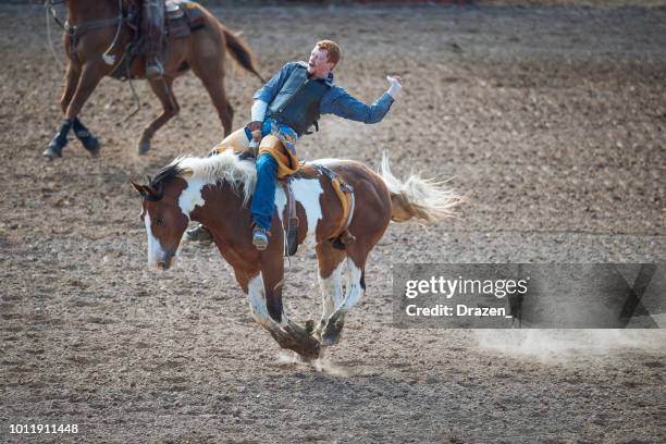 Stamp Rodeo Stampede Grandstand Photos et images de collection - Getty Images