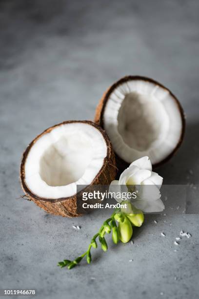 coconut cut in half on concrete background - coconut oil 個照片及圖片檔