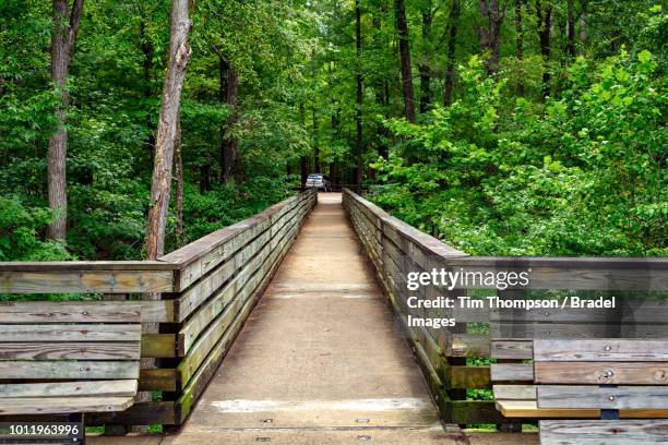 handicap access to nature - misisipi fotografías e imágenes de stock