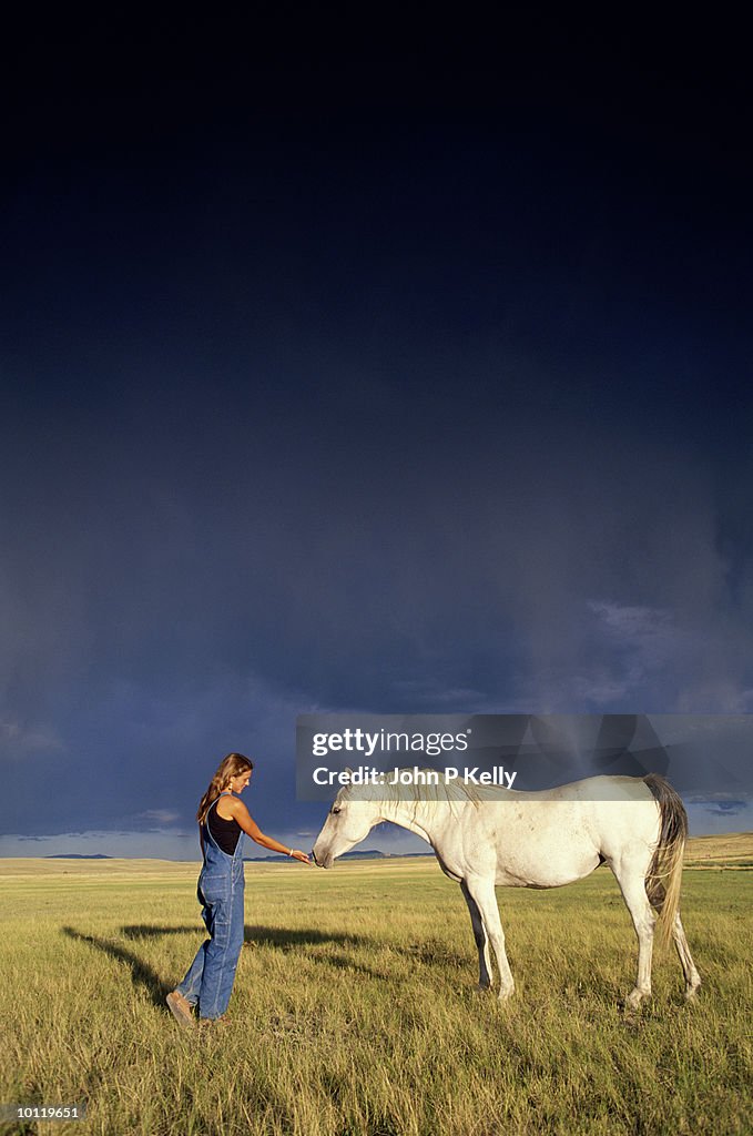 WOMAN WITH WHITE HORSE AND STORMY SKY