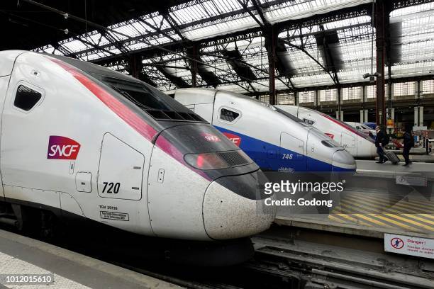 The TGV operated by the SNCF. Gare de Lyon. Paris. France.