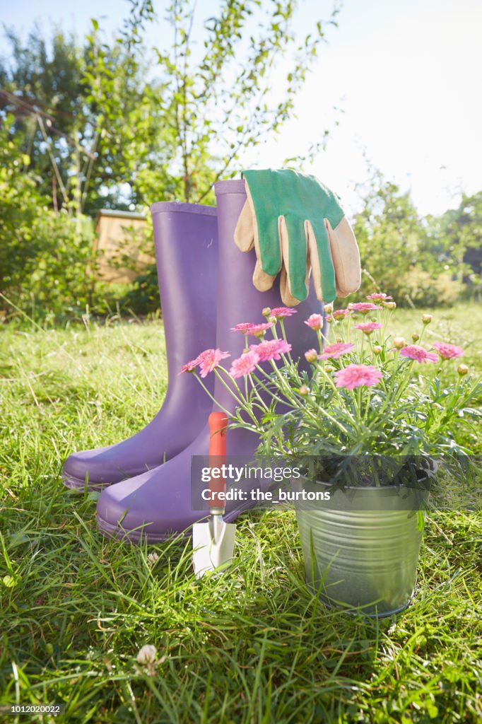 Still life of gardening equipment