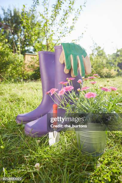 still life of gardening equipment - gardening glove stock pictures, royalty-free photos & images