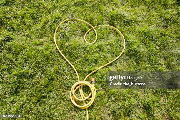 high angle view of yellow garden hose in heart shape - show garden stock pictures, royalty-free photos & images