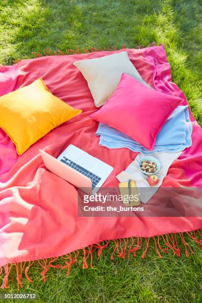 high angle view of a picnic blanket with laptop and colorful pillows on meadow - picnic blanket stockfoto's en -beelden