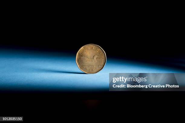 a canadian one dollar coin, also known as a loonie - loonie stock pictures, royalty-free photos & images