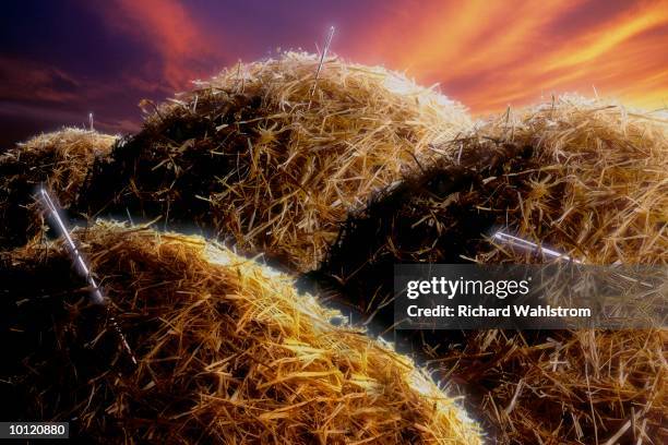 Hay Def Hay Definition Photos and Premium High Res Pictures - Getty Images