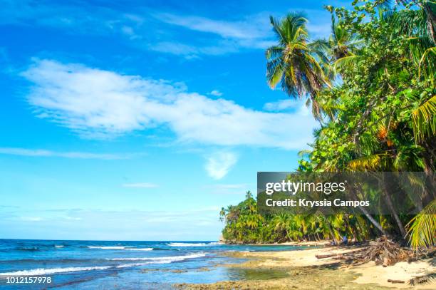 manzanillo beach scenery in south caribbean - costa rica - cocos island costa rica fotografías e imágenes de stock
